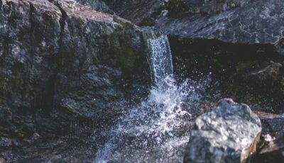 Image credit: Gatis Vilaks, unsplash