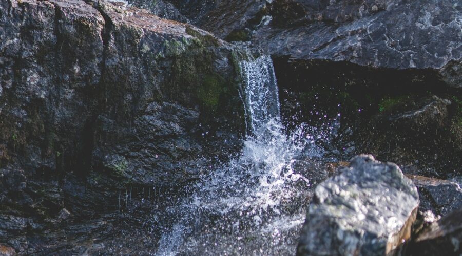 Image credit: Gatis Vilaks, unsplash