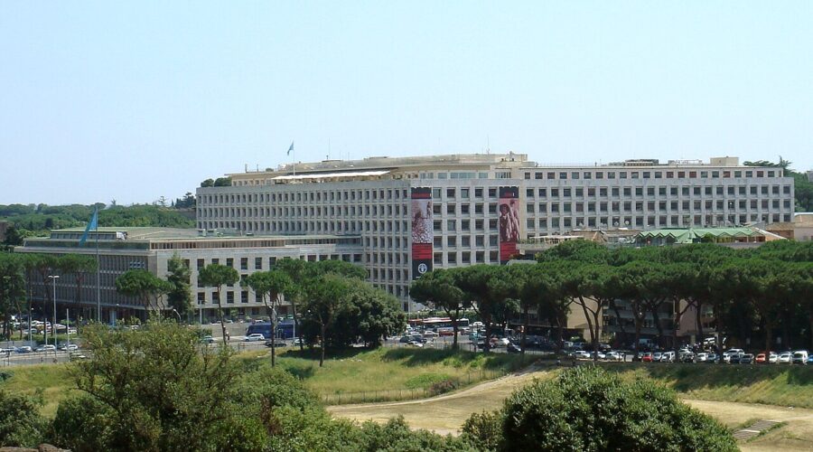Food and Agriculture Organization HQ