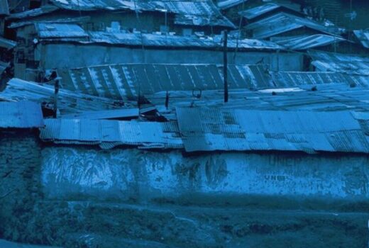 16850330325 cc2c8989d7 c