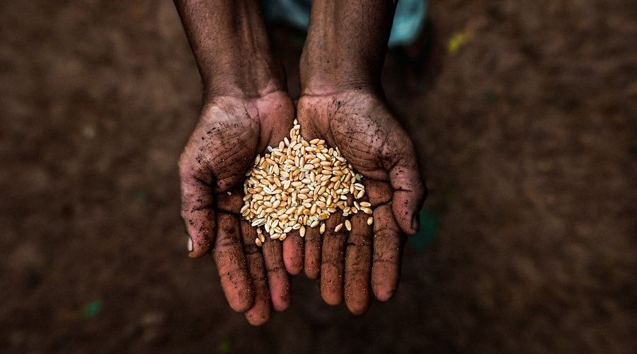 Image credit: Abhilash Raji Parayakavil, pexels