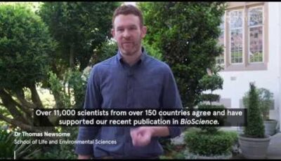 Climate crisis: 11,000 scientists warn of ‘untold suffering’