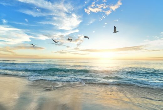 16850330325 cc2c8989d7 c