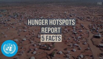 ‘catastrophic’ hunger persists in multiple countries, warn food agencies
