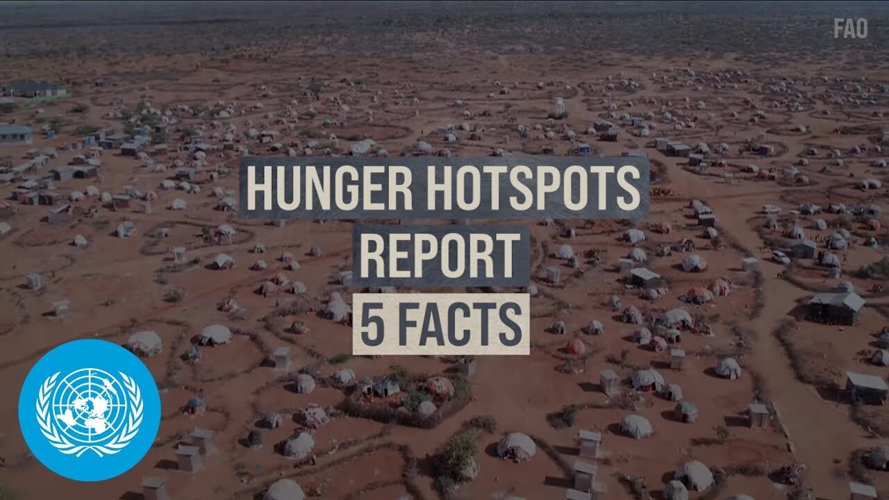 ‘catastrophic’ hunger persists in multiple countries, warn food agencies