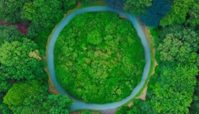 1 earth overshoot 2019