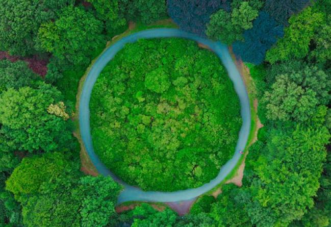 1 earth overshoot 2019