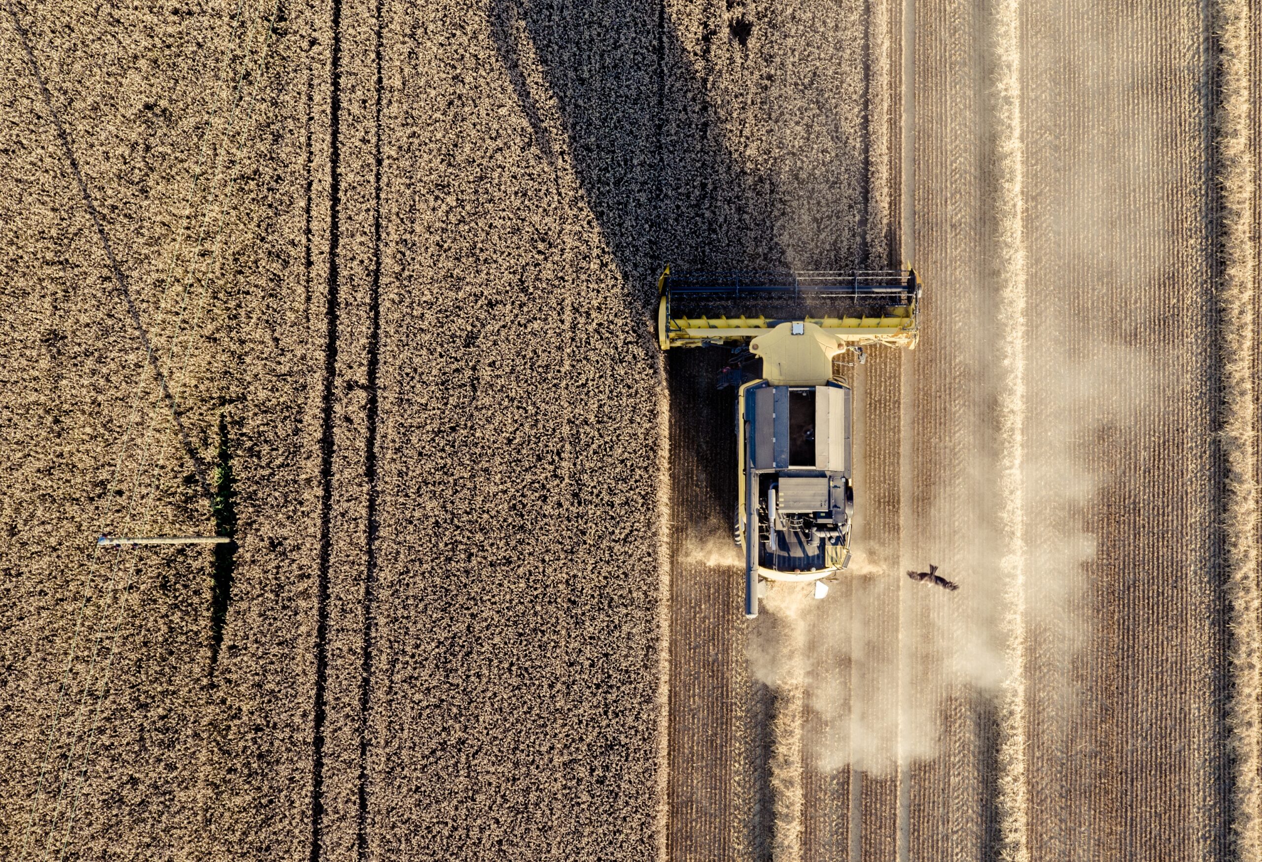 1 jean wimmerlin iasj7gvihz0 unsplash