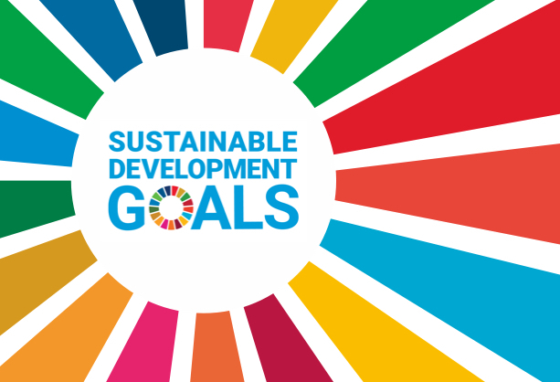 1 sdgs