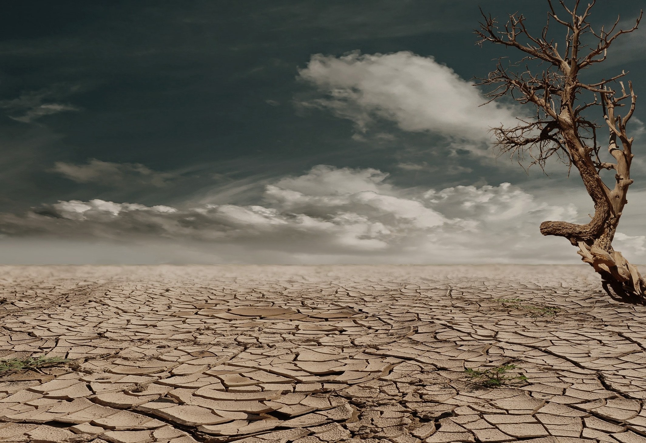 Arid climate change clouds 60013
