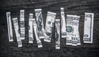 Dollar cut up 1