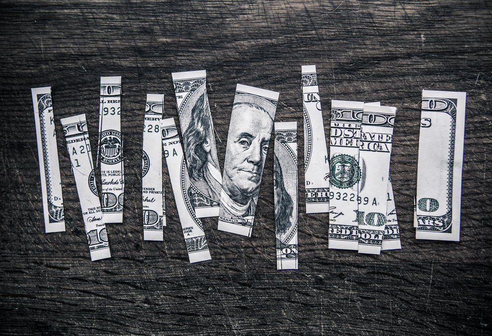 Dollar cut up 1