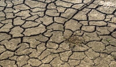 Drought mud dry africa famine hunger cracks field 791185