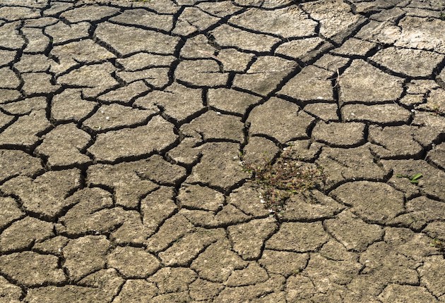 Drought mud dry africa famine hunger cracks field 791185