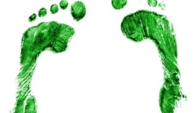 Environmental footprint 1075x605