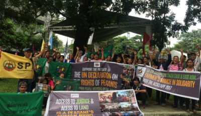 Farmers asean declaration peasant rights