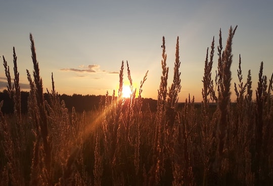 German pankovets d7pcju gmty unsplash