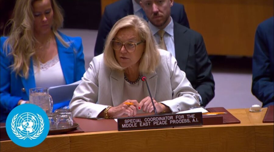 Image credit: United Nations, YouTube Gaza: top un envoy calls on israel to end devastating strikes, starvation of civilians