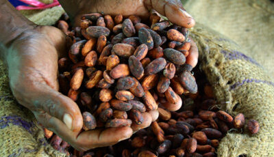 Nuts