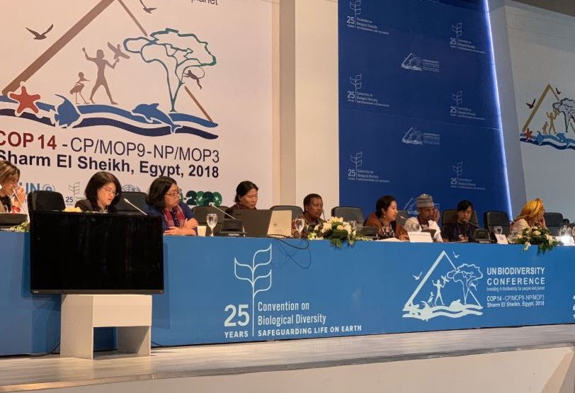Un biodiversity