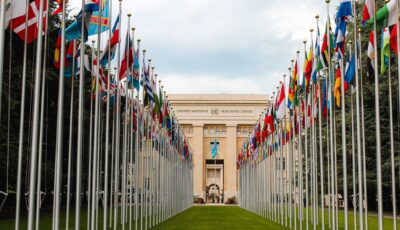 United nations rows of flags scaled 2 0