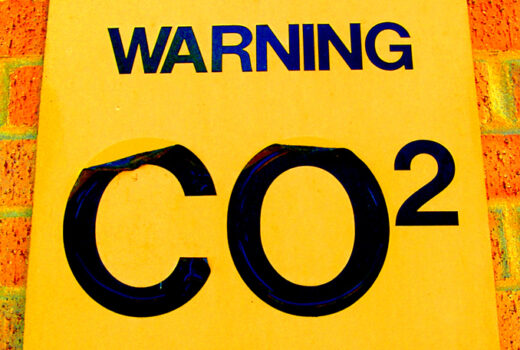 16850330325 cc2c8989d7 c