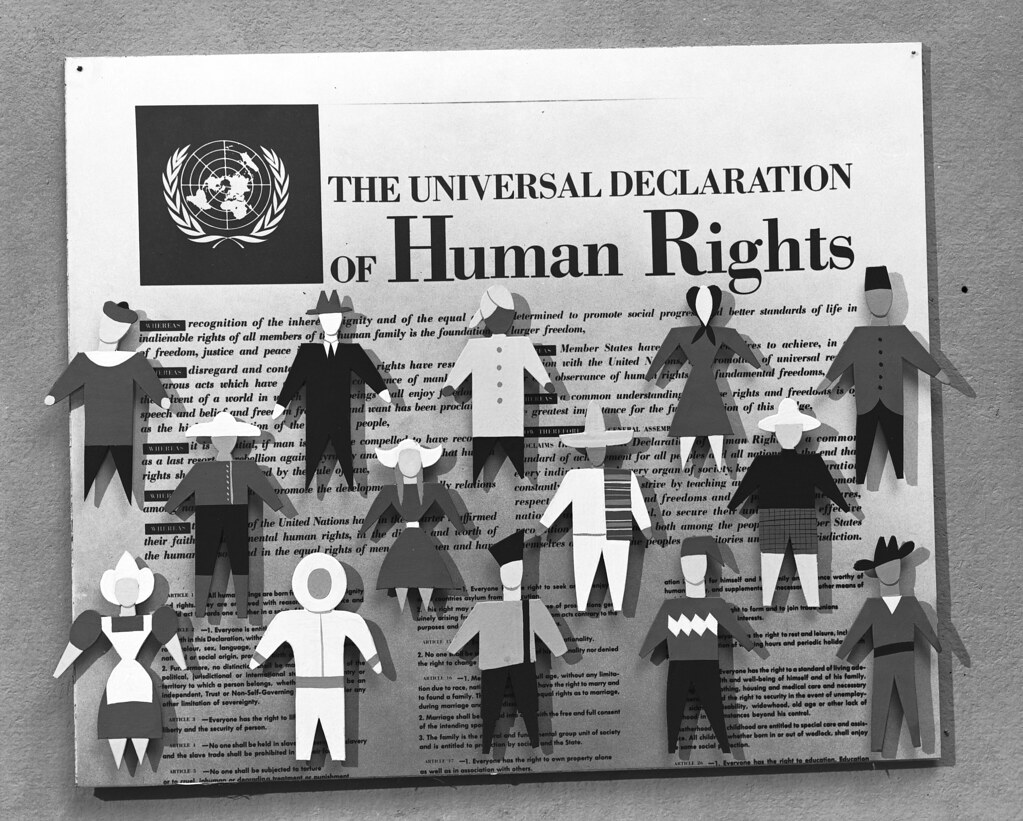 Online event: ‘Article 25 – A people’s strategy for world ...