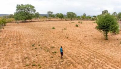 Image credit: Alexander Uggla/Finnish Red Cross A farmer