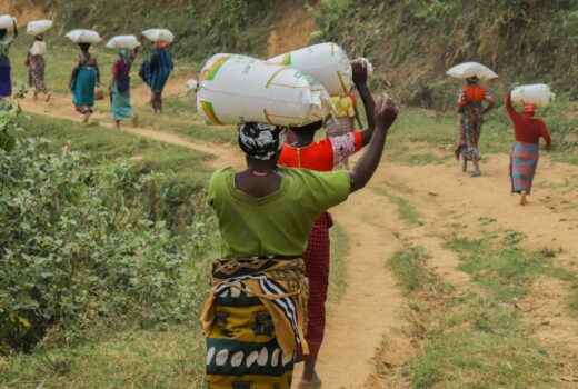 16850330325 cc2c8989d7 c