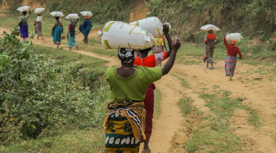 Image credit: Speak Media Uganda for Pexels.