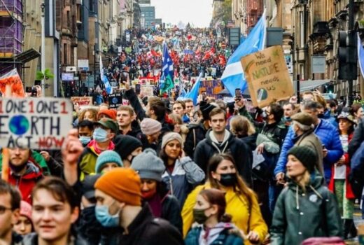 16850330325 cc2c8989d7 c