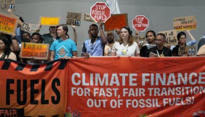 Image credit: Power Shift Africa on X