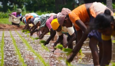 Image credit: Deepak kumar, Unsplash Image credit: Deepak kumar, Unsplash