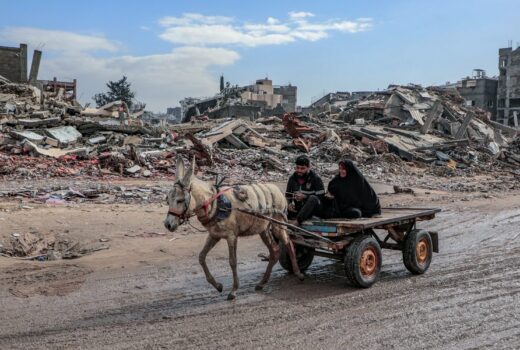 16850330325 cc2c8989d7 c