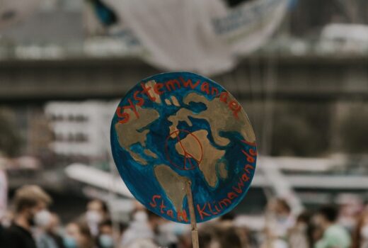 16850330325 cc2c8989d7 c