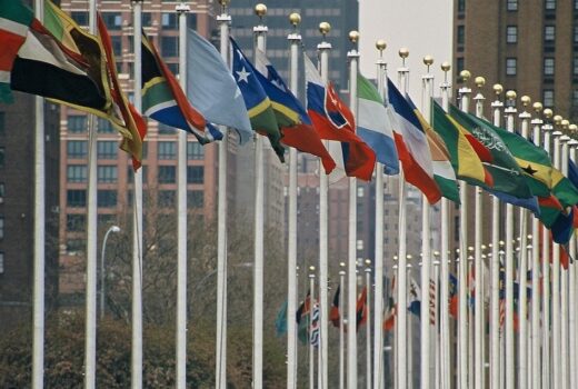 16850330325 cc2c8989d7 c