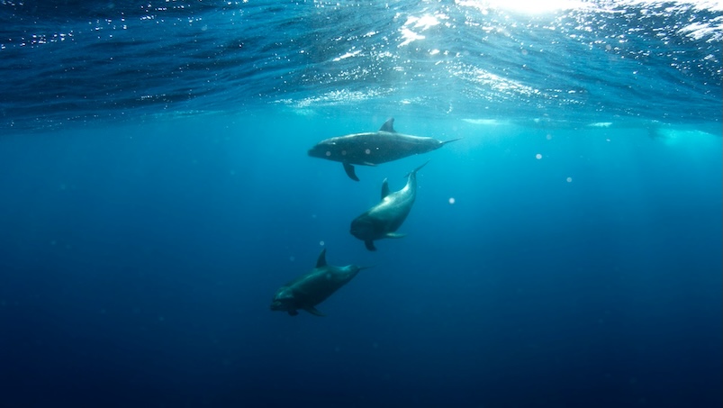 Image credit: Talia Cohen, Unsplash