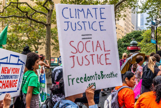 16850330325 cc2c8989d7 c