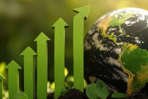 16850330325 cc2c8989d7 c