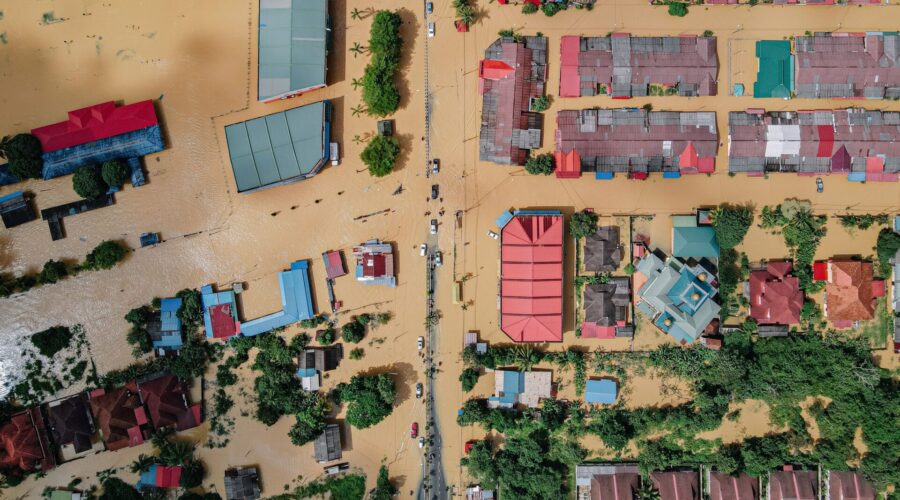 Image credit: Pok Rie, Pexels